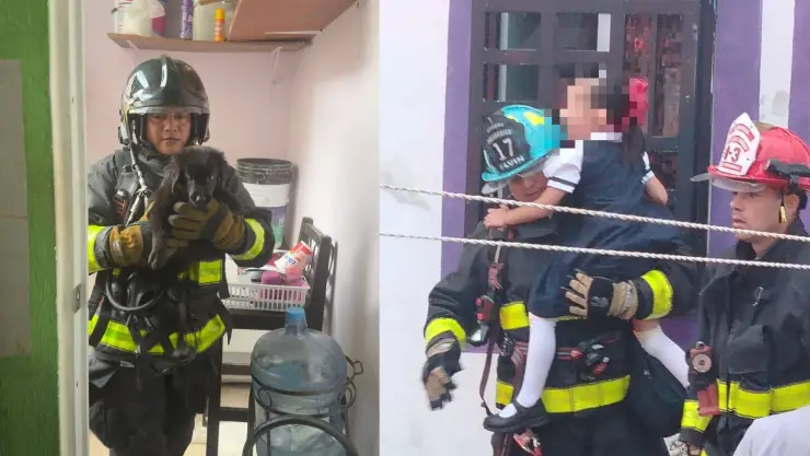 Niña de 5 años y su perrito quedan atrapados en incendio dentro de vivienda en Playa del Carmen; bomberos logran rescatarlos