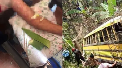 Pasajeros de bus mueren por picaduras de abejas africanas