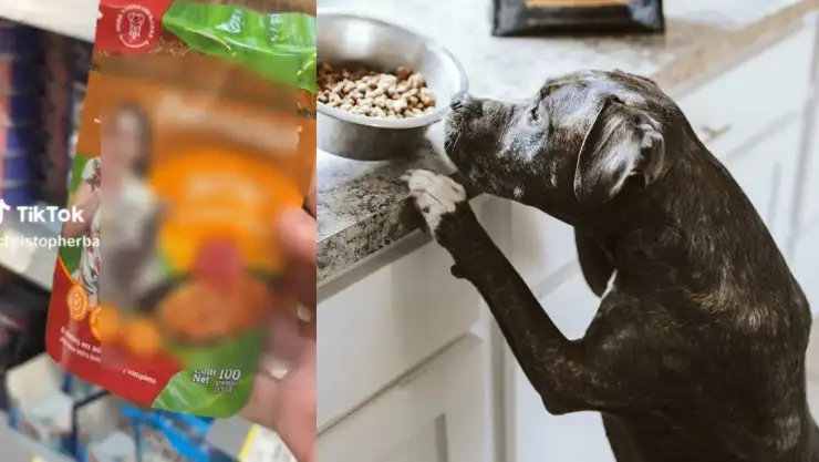 ¿Cochinita pibil para perros_ El sabor tradicional yucateco llega al plato de tus mascotas.jpg