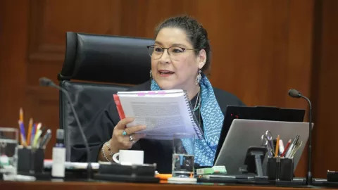 lenia inversionistas