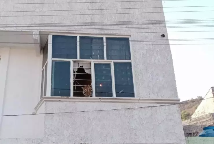 Rescatan a tigre de bengala encerrado en una casa en el EdoMex