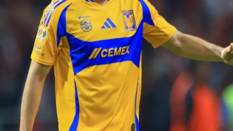 Camiseta de Tigres