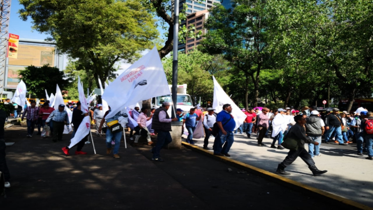 manifestaciones_15junio.jpg