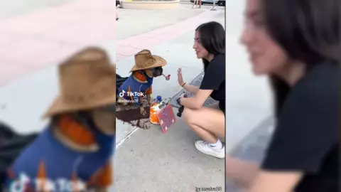 Perrito cobra por dar la patiat y se VIRALIZA, ¡los lomitos facturan¡