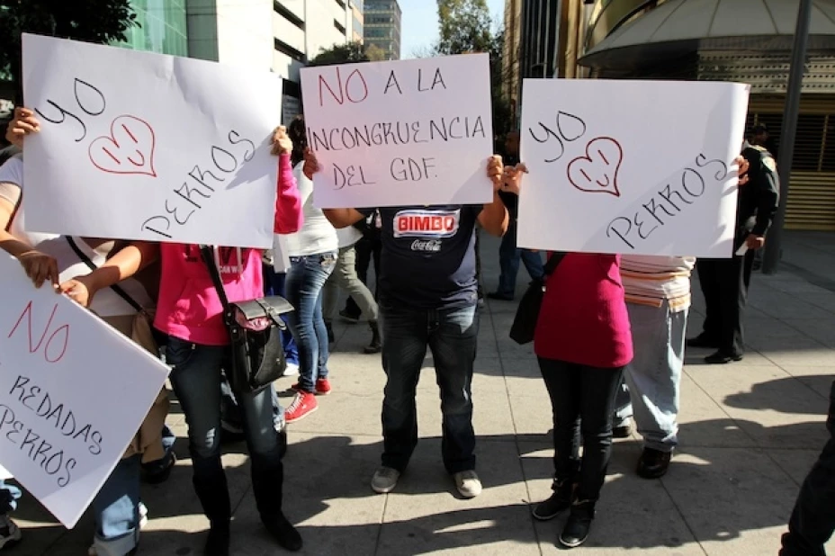 Manifestantes exigen un alto a la persecución de perros