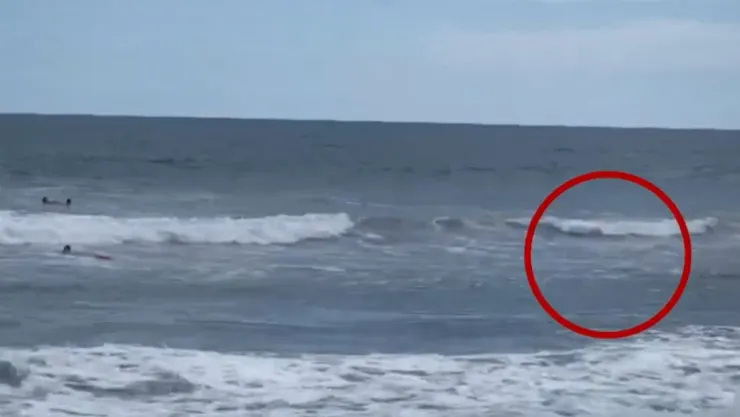 RESCATADO EN PLAYA