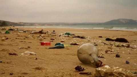 investigacion_basura_mar