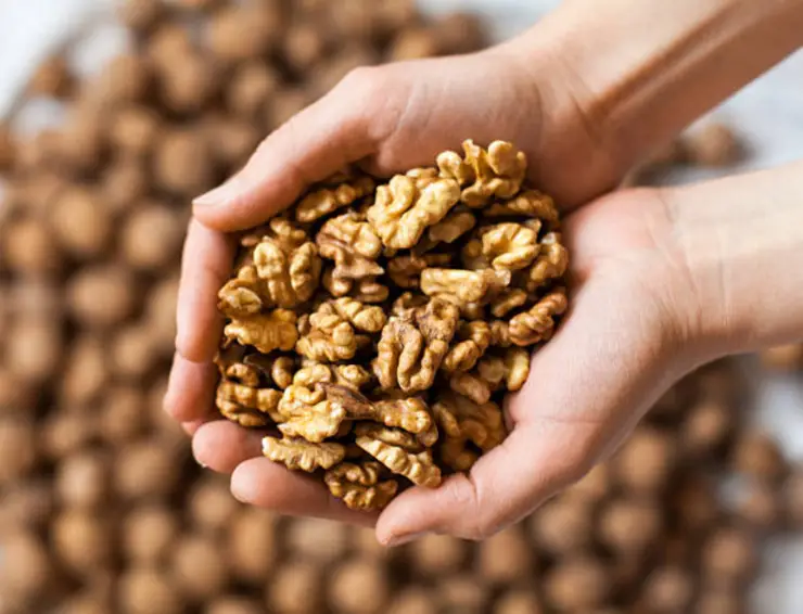 Las nueces son las mejores aliadas del cerebro