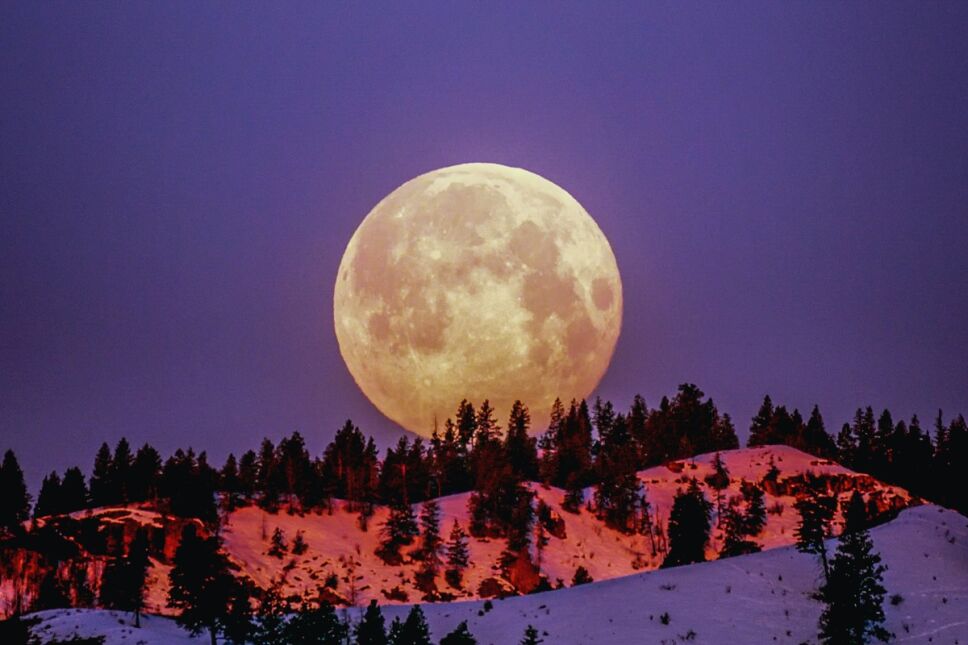 Súper Luna rosa