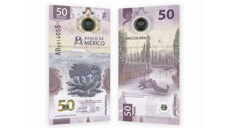 Venden billete del ajolotito de 50 pesos en 500 mil pesos