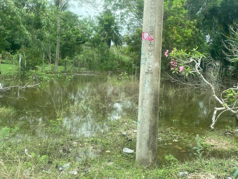 Realizan recorridos de vigilancia en la Ribera del Río Hondo