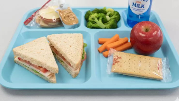 Intoxicación alimenticia