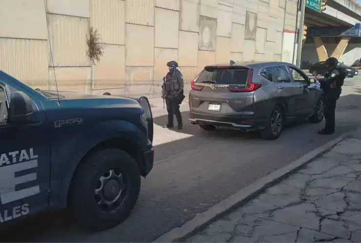 Ataque a granjas de pollos en Petaquillas, en Chilpancingo.