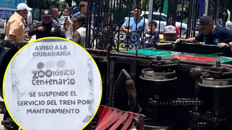 PORTADA SUSPENSIÓN TRENECITO.jpg