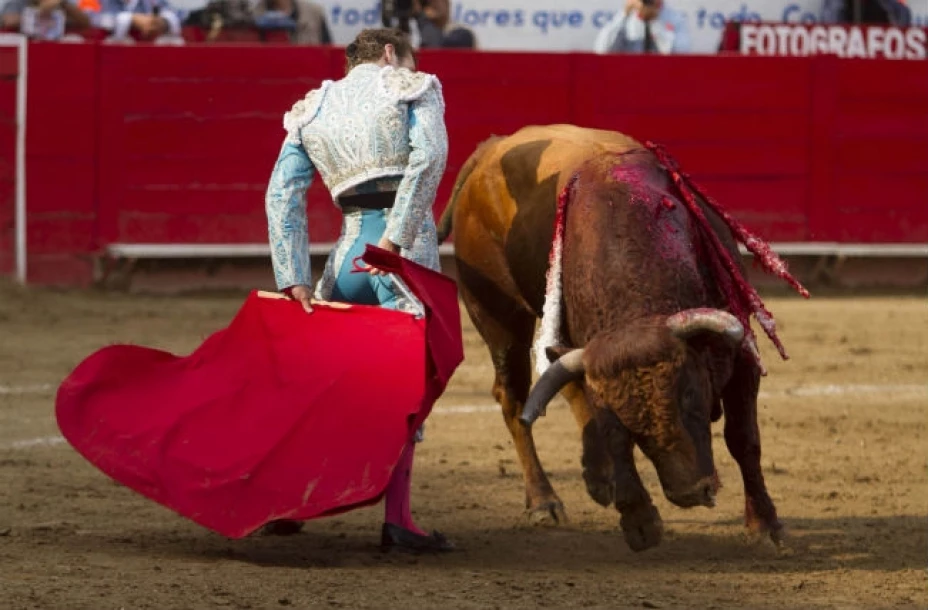 Se determinó que la Comisión de Hacienda, Control y Protección al Patrimonio Municipal no autorice corridas de toros