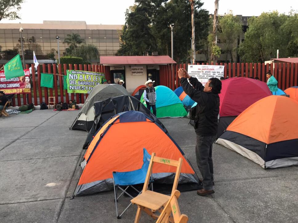 Carpas en diputados