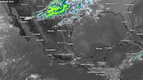 z - 2024-03-31T122344.050.jpg