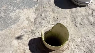 Habitantes de Terrero de la Labor denuncian fosas sépticas saturadas y falta de drenaje en Calvillo