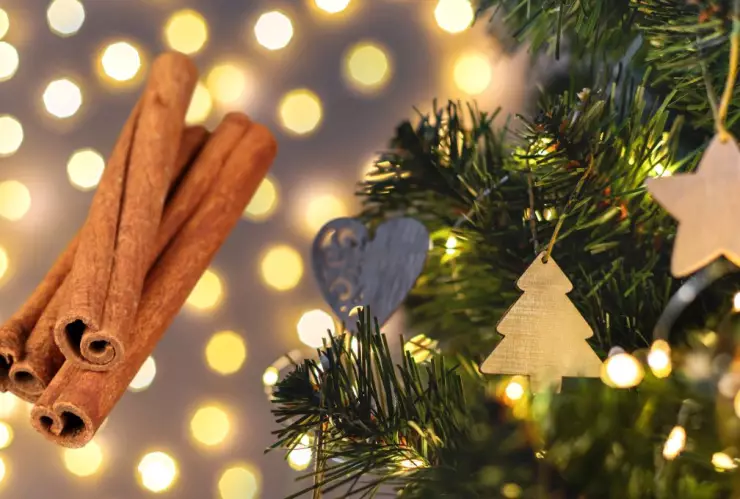 Este es el alimento que no puede faltar en tu árbol de Navidad