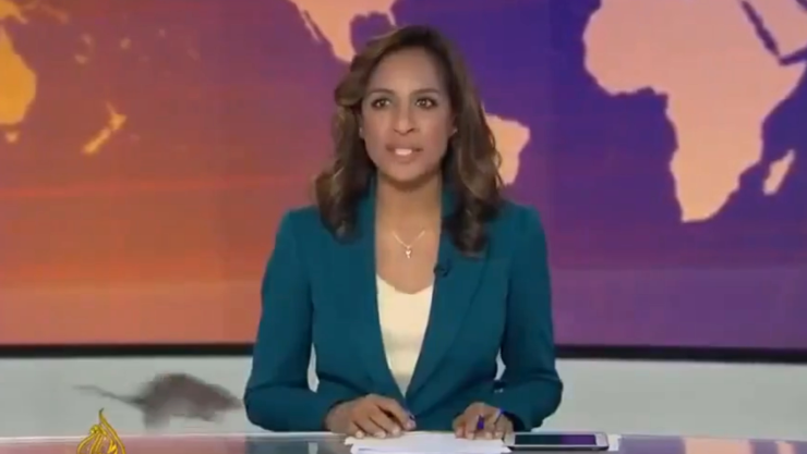 Ratón noticiero en vivo