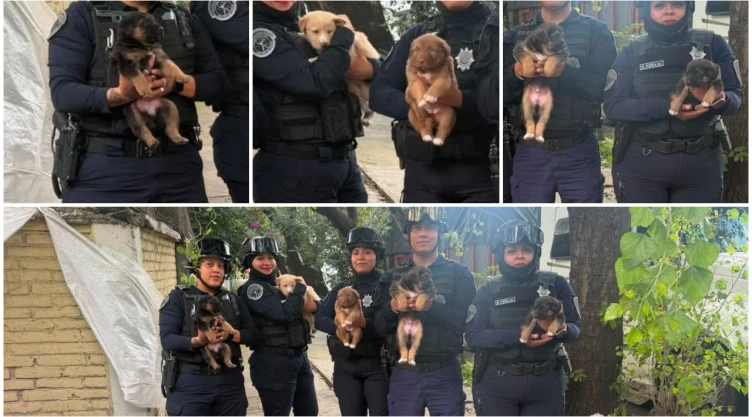 Policías salvan a cinco cachorros abandonados en la calle en CDMX.