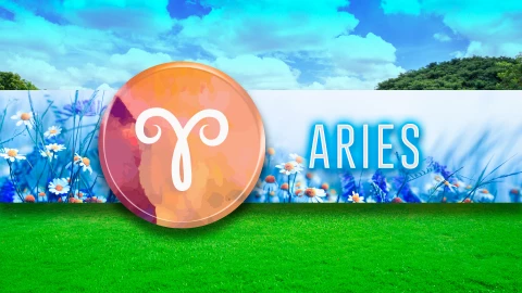 aries
