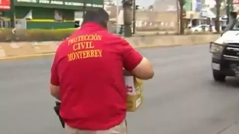 Elementos de Protección Civil de Monterrey resguardaron a los 11 patitos.png