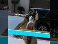 Danna Paola en la calle.jpg