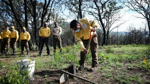 jalisco medio ambiente