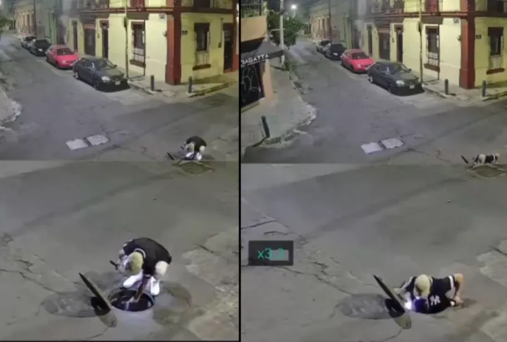 “Las Tortugas Ninja": Así operan para el robo de autopartes en Guadalajara