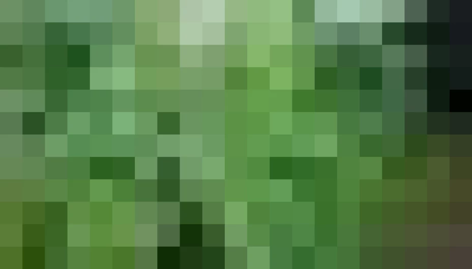 La policía española embargó 14 vehículos, 4 motos y 23 inmuebles, valorados en 5 millones 500 mil dólares