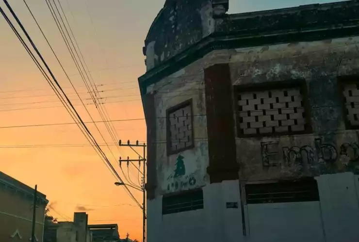 pino asi luce actualmente