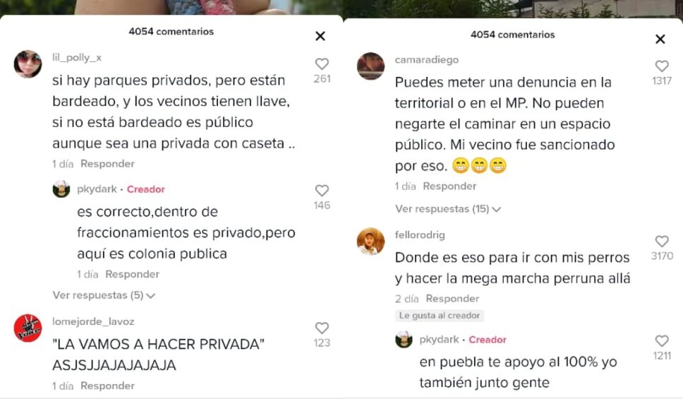 comentarios parque Puebla vecinos.jpg