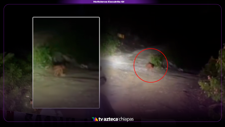 Polémico video: niño aparece de madrugada y genera especulaciones sobre fenómeno paranormal