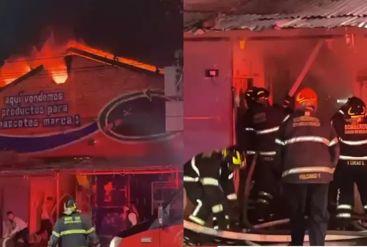 Incendio en bodega de mascotas en la Morelos, Venustiano Carranza CDMX