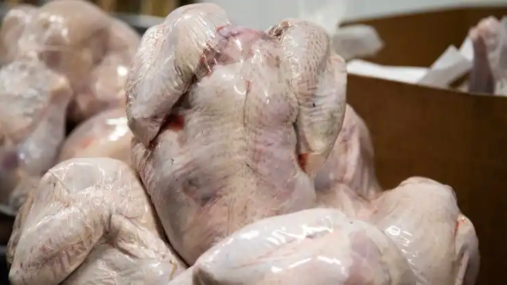 alimentos congelados covid-19 contagio.jpg