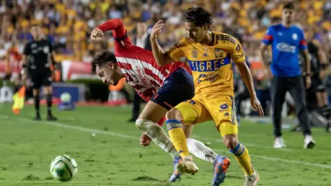 Fanáticos de las Chivas juntan firmas para anular campeonato de Tigres