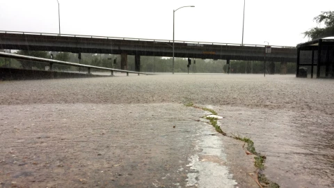 Enjambre sísmico sorprende cerca de México: 90 temblores en 7 días