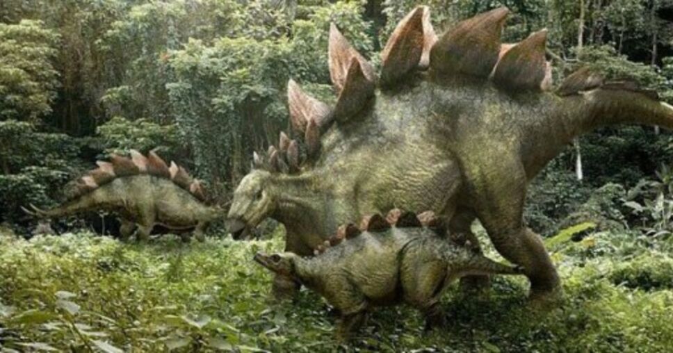 Dinosaurio, gato, huella.jpg