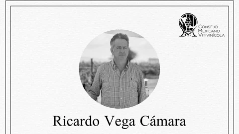 Ricardo Vega Cámara