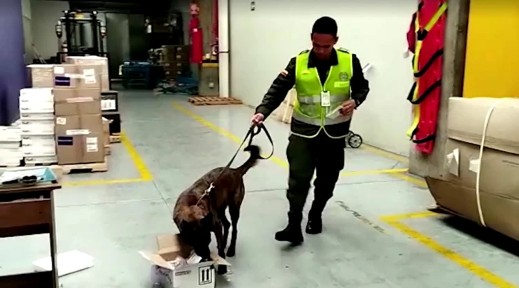 Perro policía encuentra droga escondida en bolsas de sangre