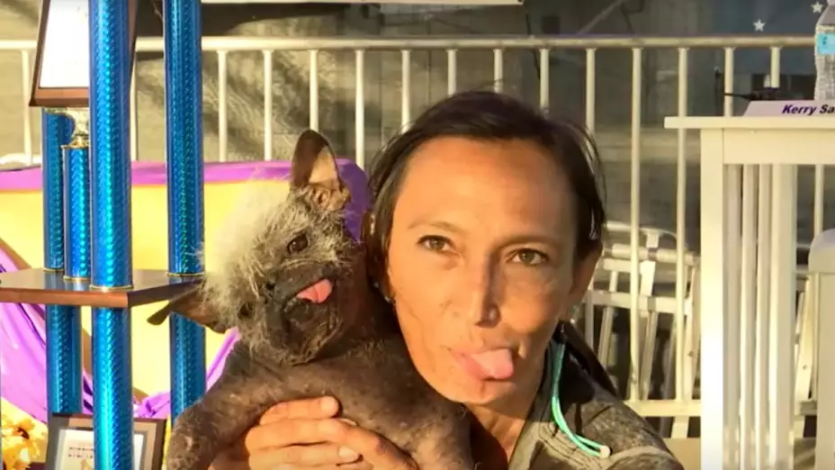 mr happy face el perro mas feo del mundo