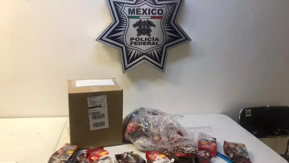 INTERCEPTAN CASI 5 KILOS DE PRESUNTA METANFETAMINA EN BOLSAS DE CAFÉ