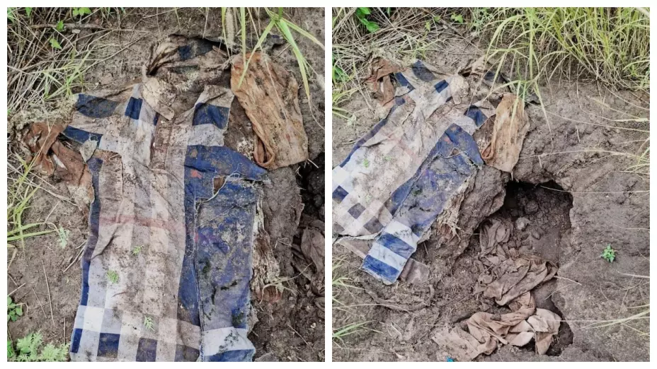 Hallan fosa clandestina con restos humanos en Tamaulipas: Trágico descubrimiento; piden apoyo para identificación.