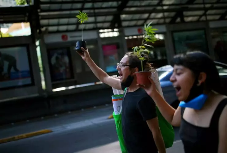marihuana marcha.jpg