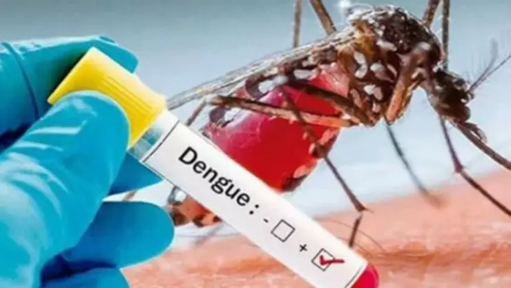 SUMAN ESFUERZOS PARA COMBATIR EL DENGUE EN QUINTANA ROO