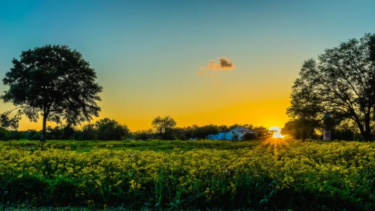 Atardecer en una zona rural de Fulshear.