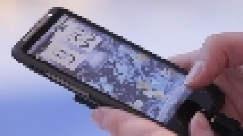 Celular
