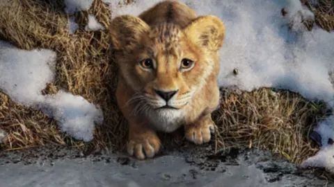 Este día de marzo “Mufasa: El Rey León” se estrena en Disney+
