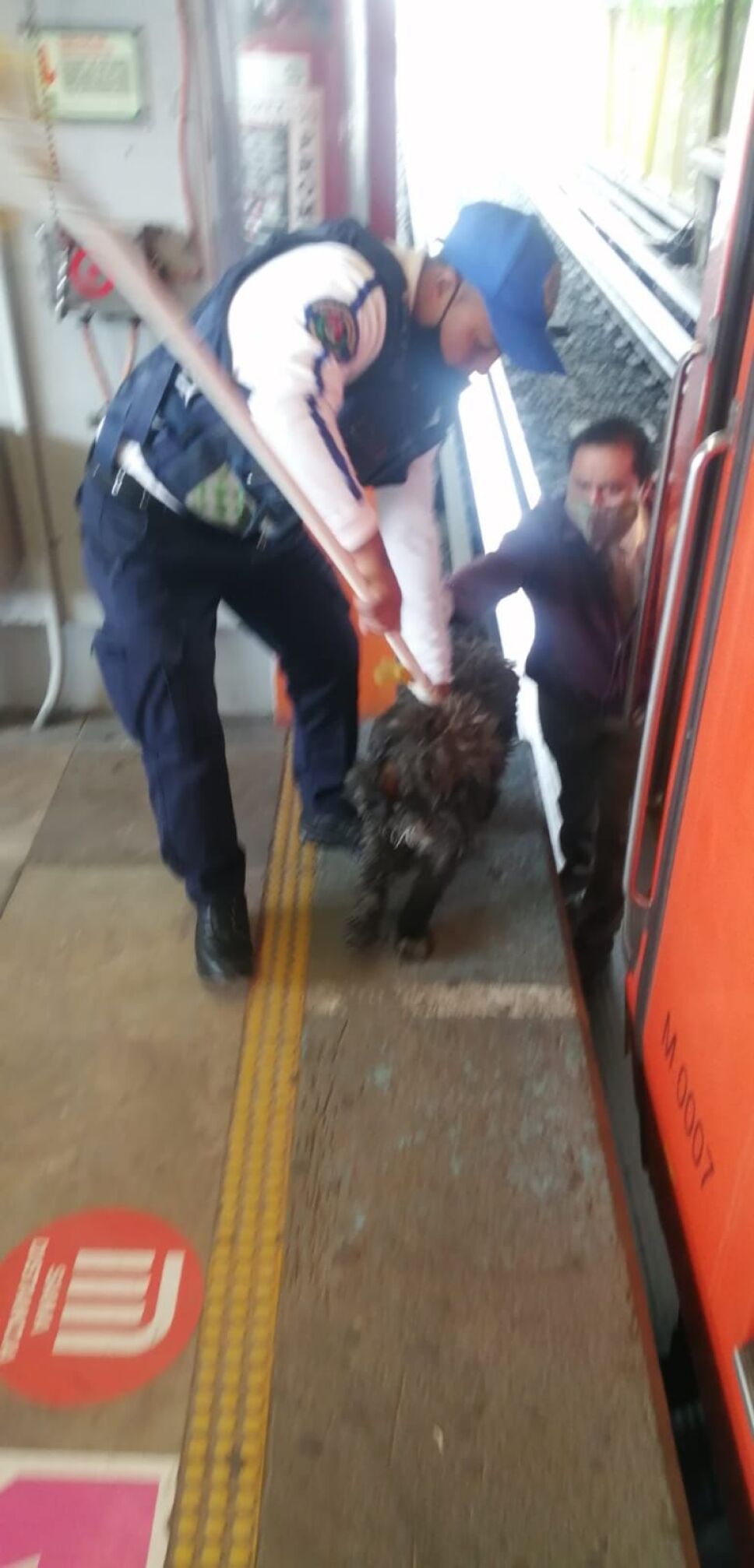 Rescatan a perrito que bajó a vías de la Línea B del Metro CDMX